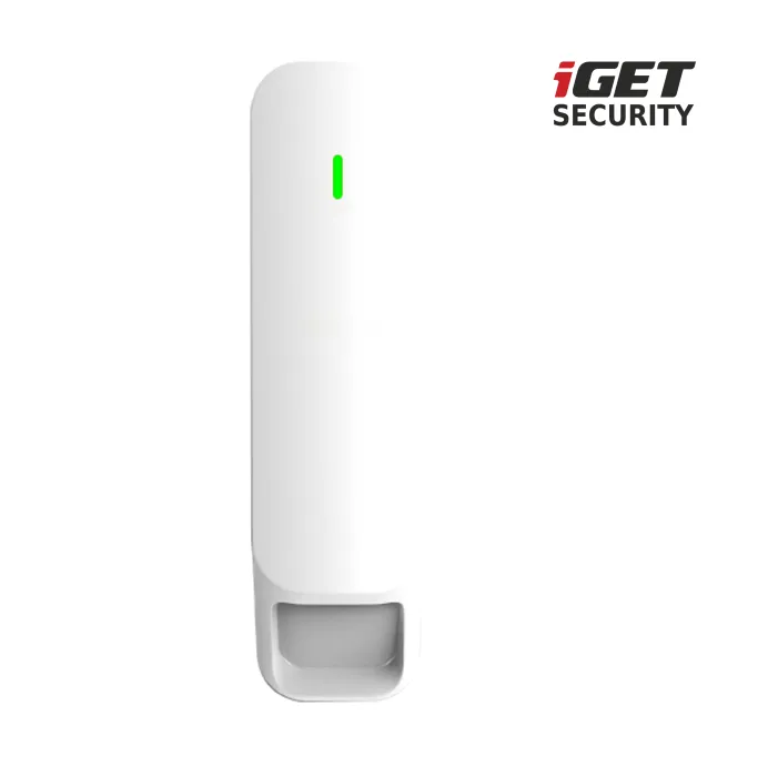 iget_security_mp31_001logo.jpg